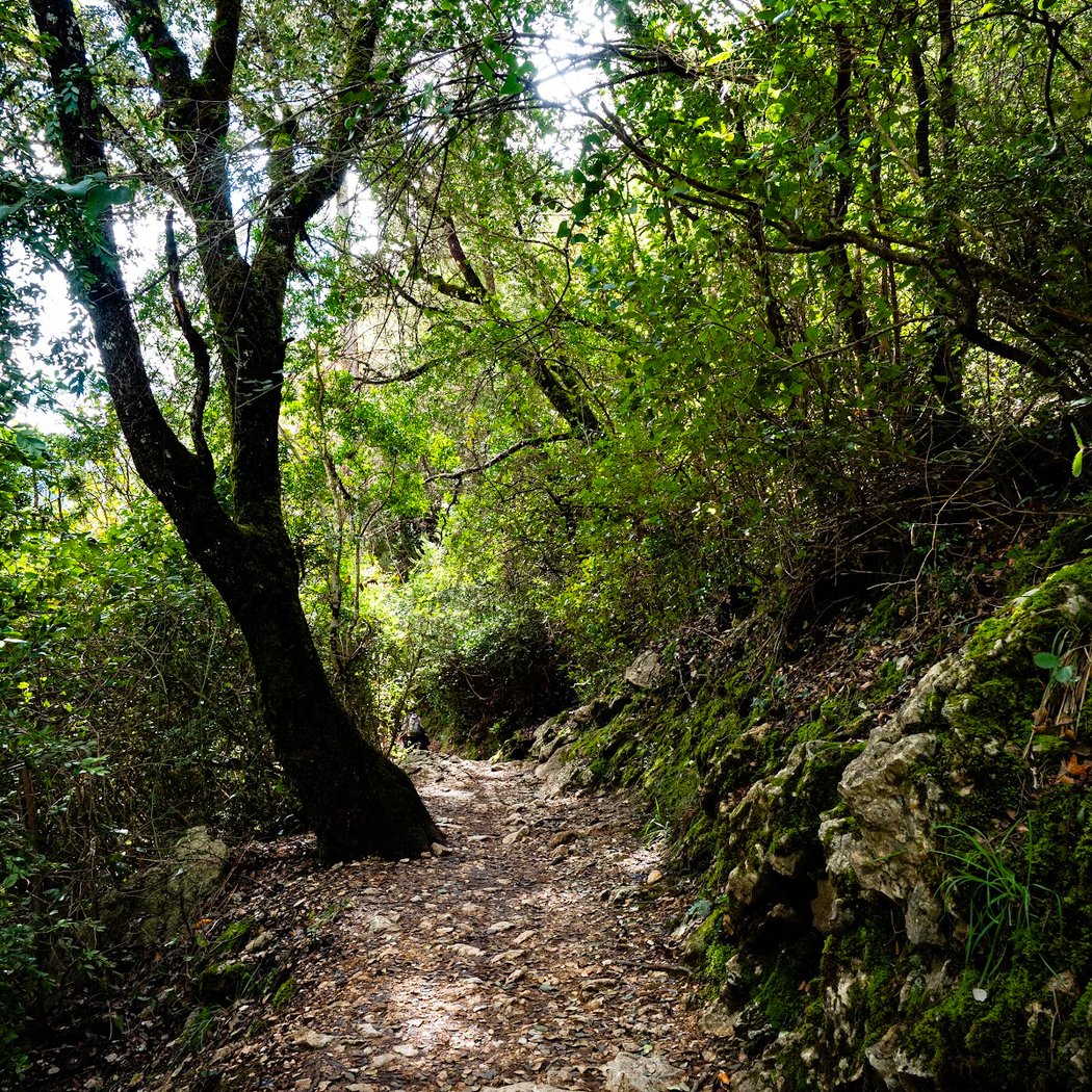 La cerrada de Elias 3